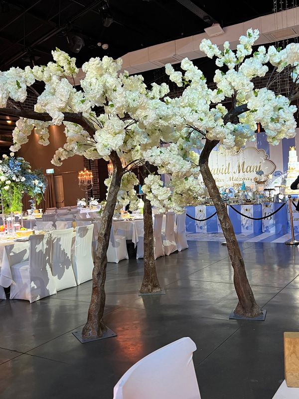 תכנון אירוע בצורה מהירה